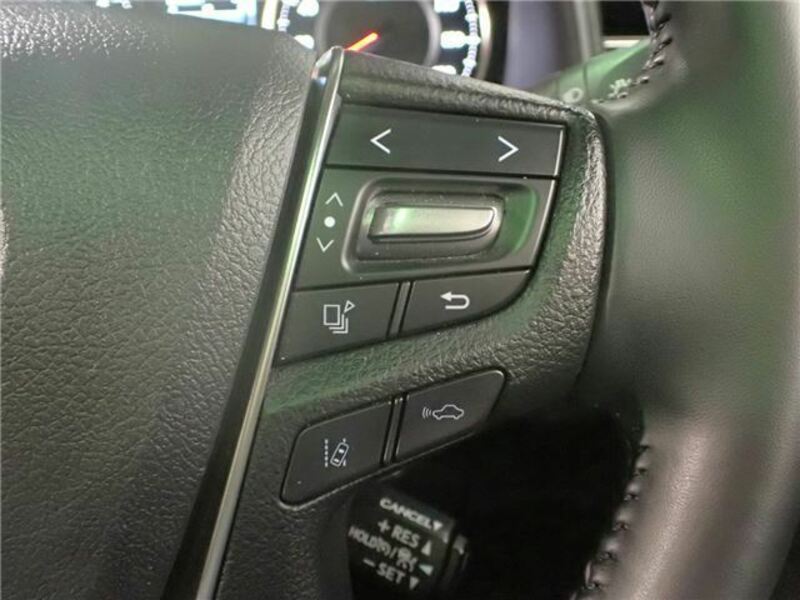 ALPHARD-17