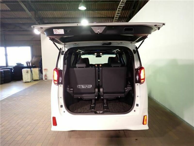 ALPHARD-34