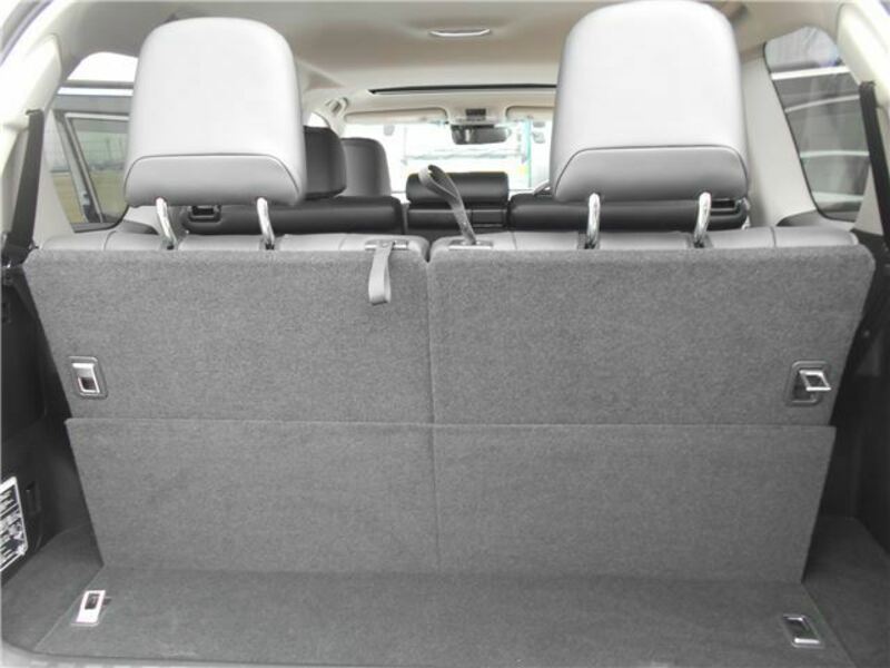 LAND CRUISER PRADO-15