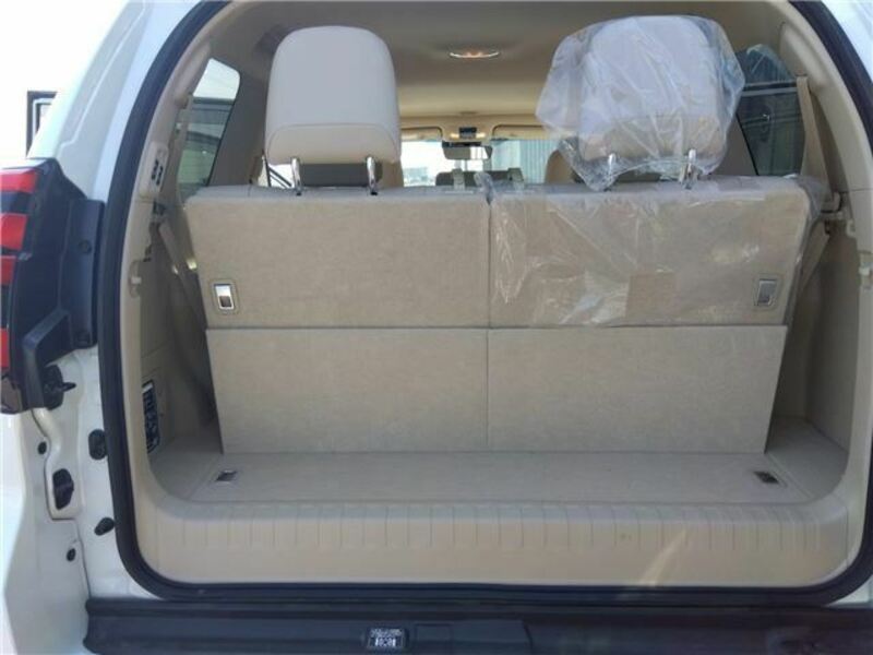 LAND CRUISER PRADO-13