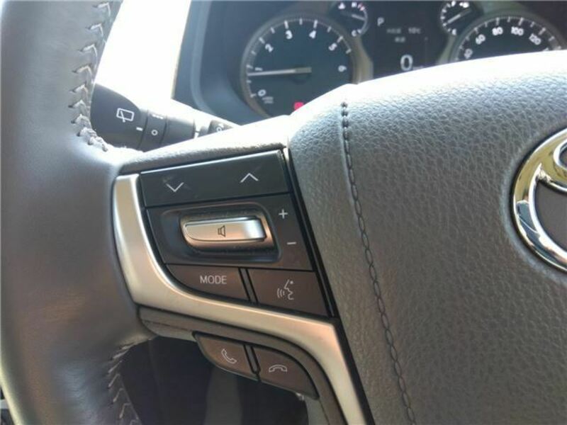 LAND CRUISER PRADO-18