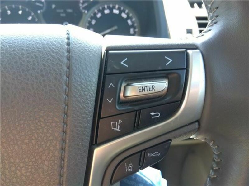 LAND CRUISER PRADO-19