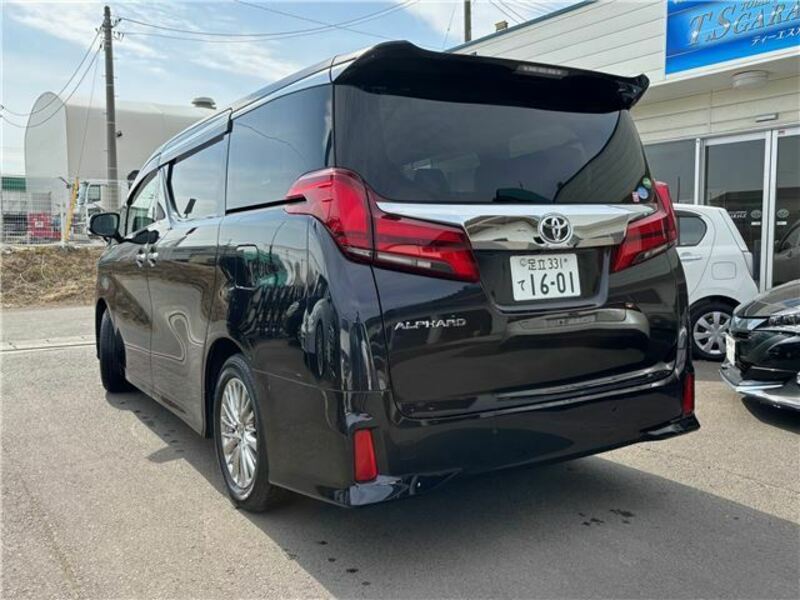 ALPHARD-6