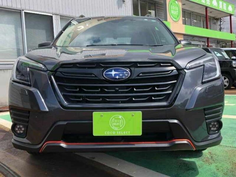 FORESTER-3
