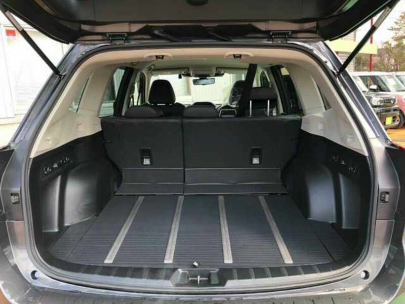 FORESTER-8