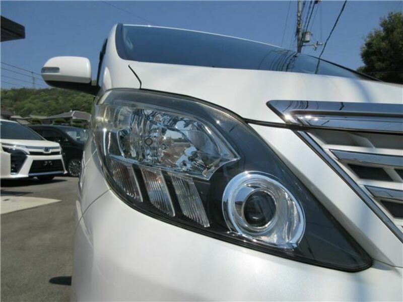 ALPHARD-17