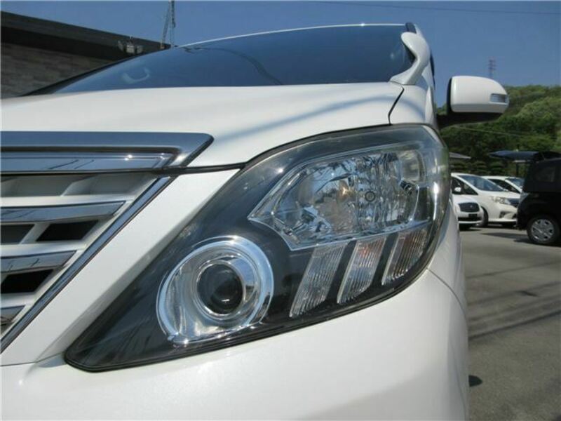 ALPHARD-18