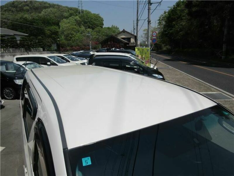 ALPHARD-19