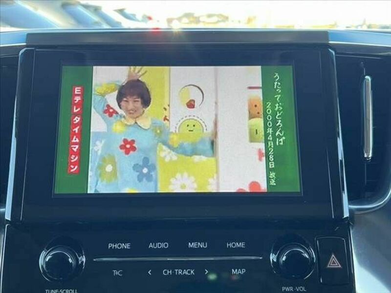 ALPHARD-22