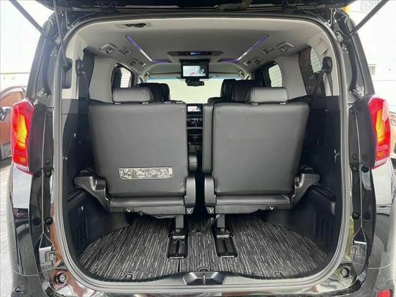 ALPHARD-19