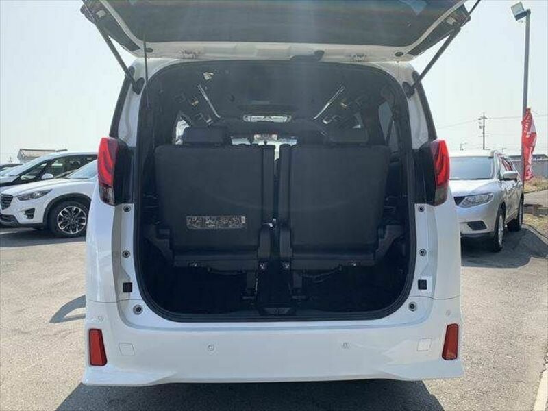 ALPHARD-10