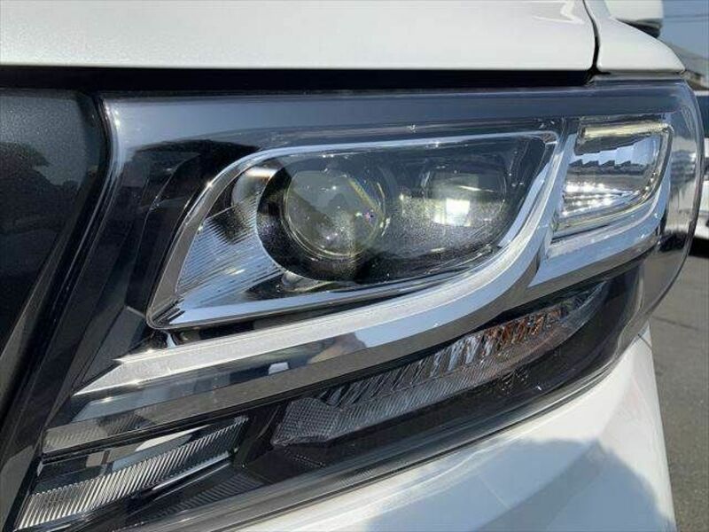 ALPHARD-12