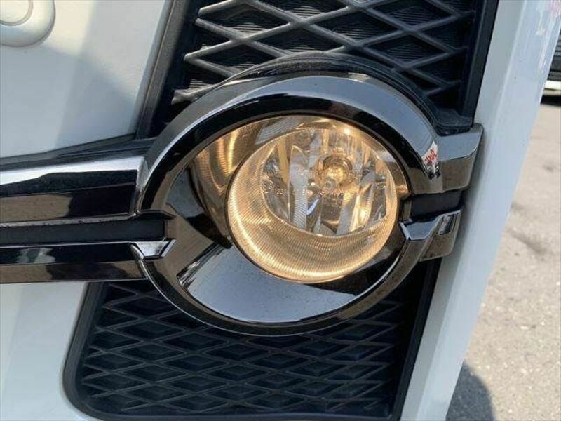 ALPHARD-13