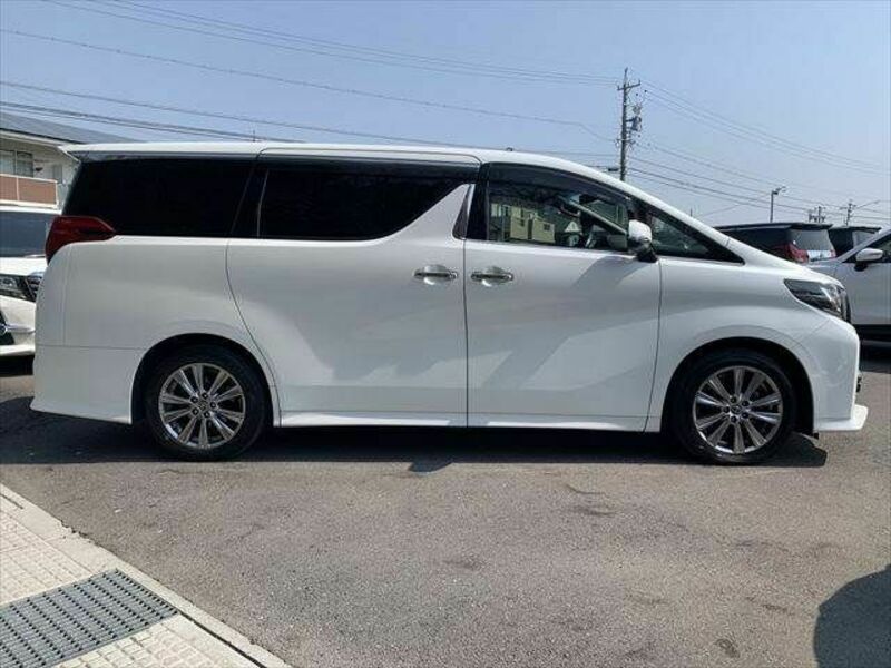 ALPHARD-17