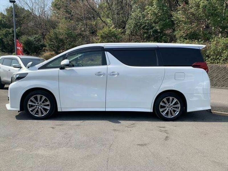 ALPHARD-21