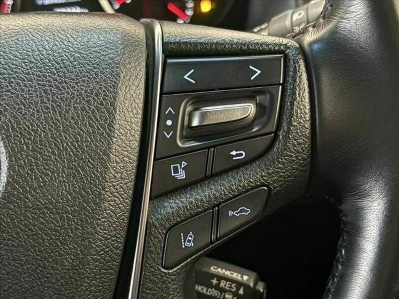 ALPHARD-25