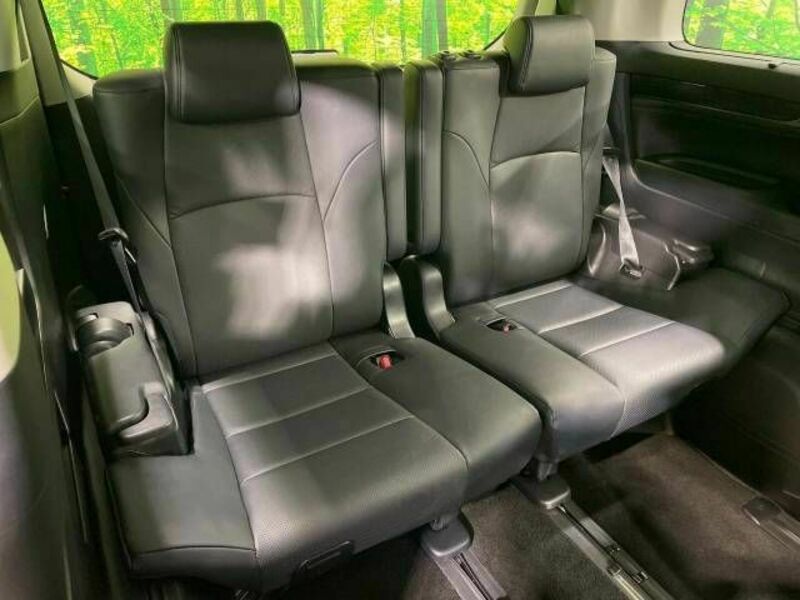 ALPHARD-10