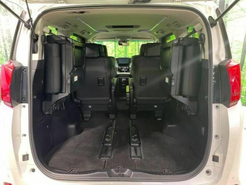 ALPHARD-11
