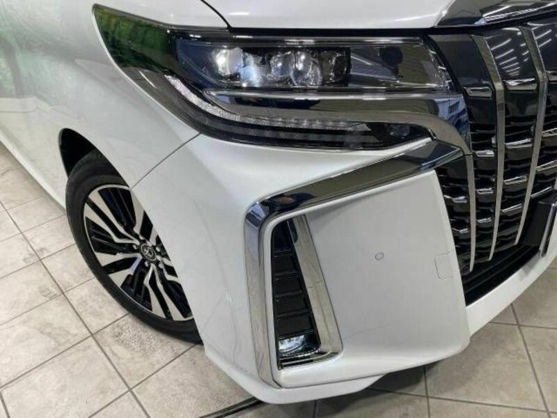 ALPHARD-13