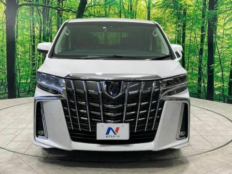 ALPHARD-15
