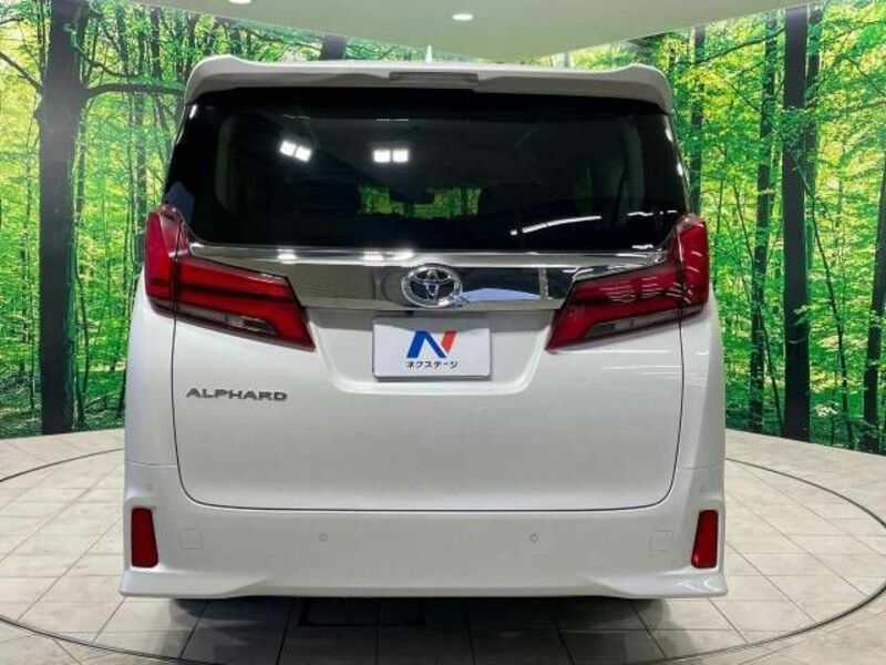 ALPHARD-16