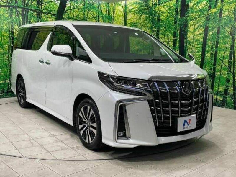 ALPHARD-17