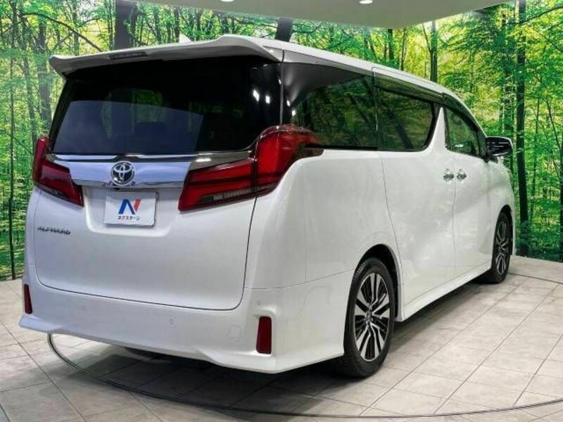 ALPHARD-18