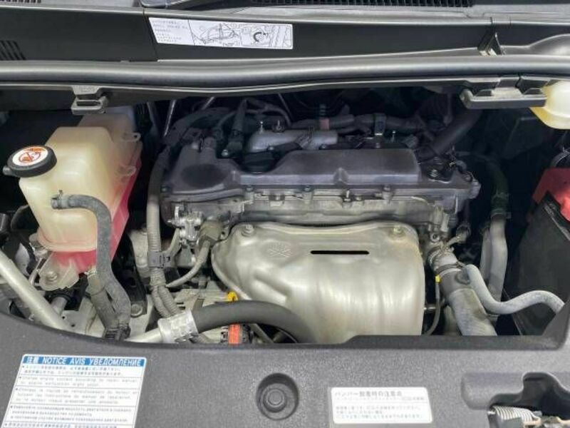 ALPHARD-19