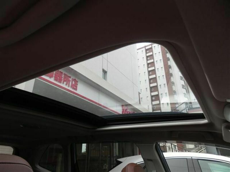FORESTER-9
