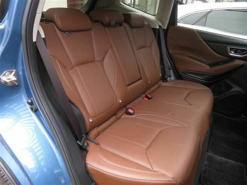 FORESTER-11