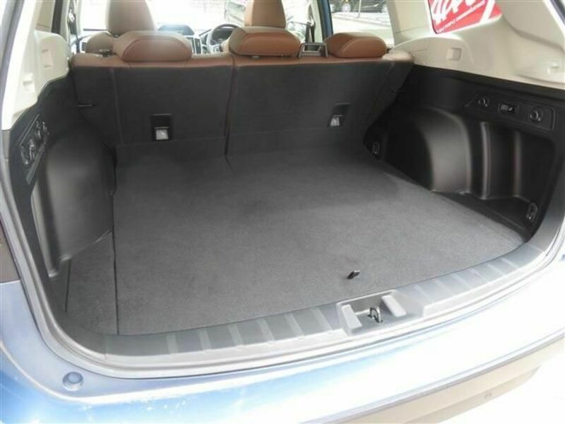 FORESTER-12