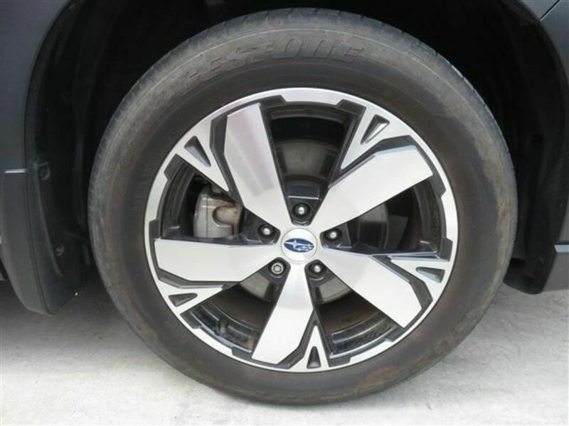 FORESTER-18
