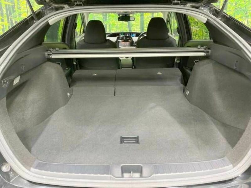 PRIUS-10