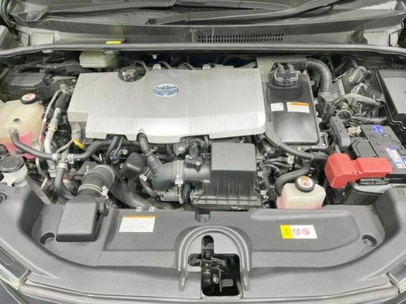 PRIUS-17