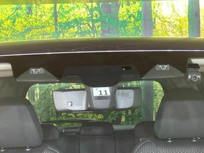 FORESTER-2