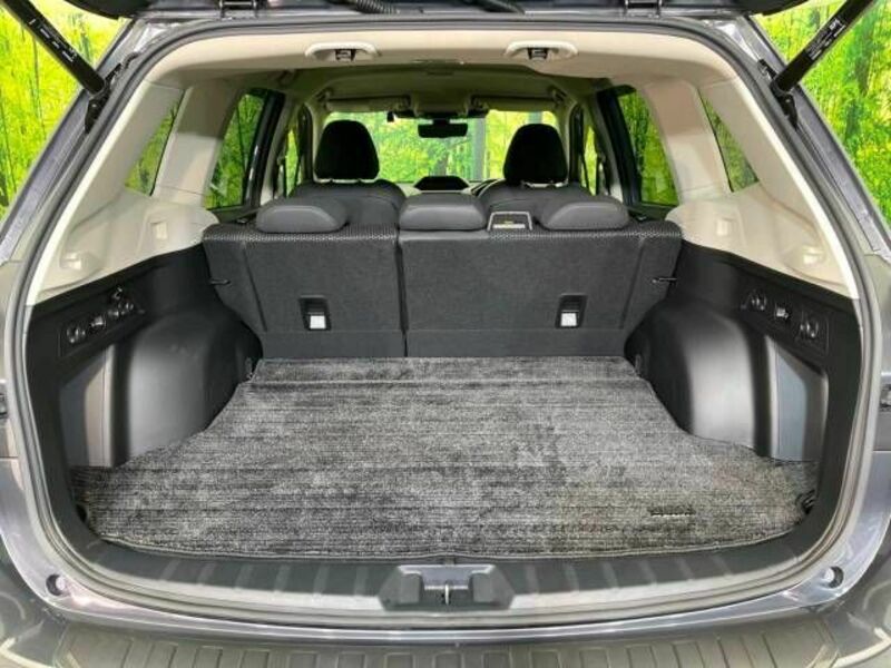 FORESTER-10