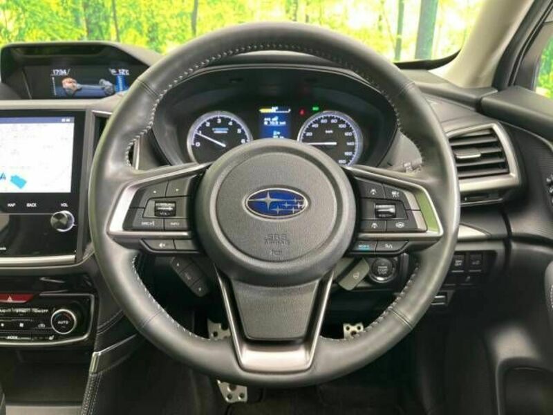 FORESTER-11