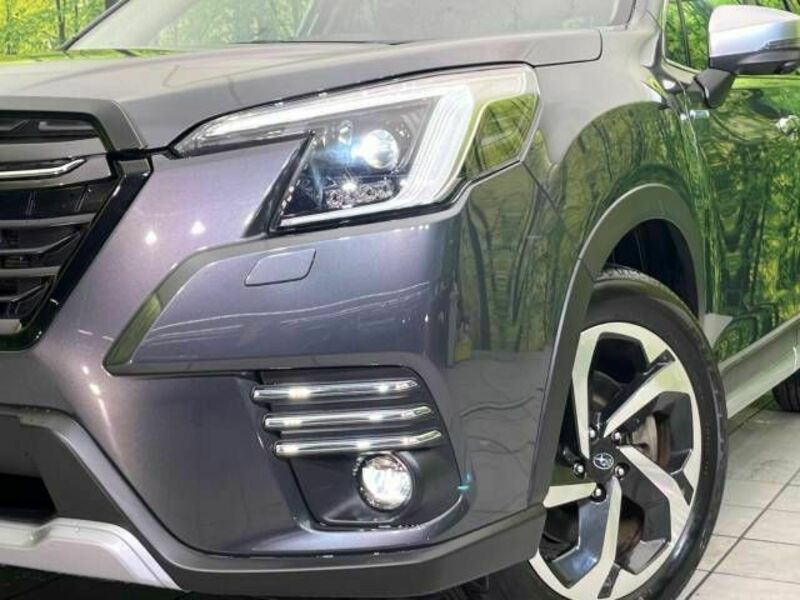 FORESTER-12