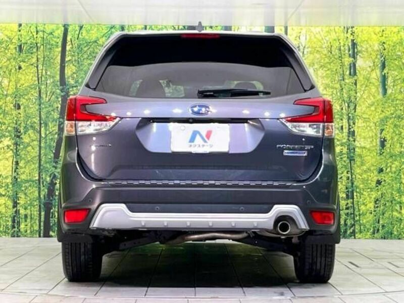 FORESTER-15