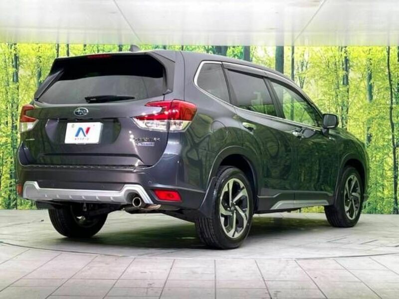 FORESTER-17