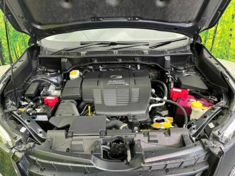 FORESTER-18