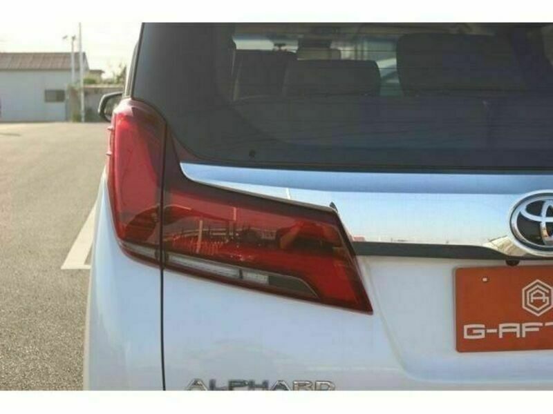 ALPHARD-10