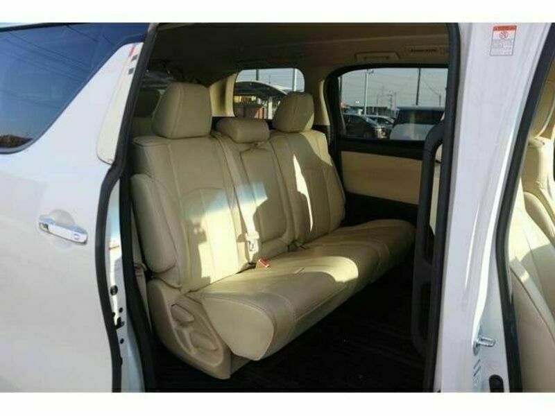 ALPHARD-13