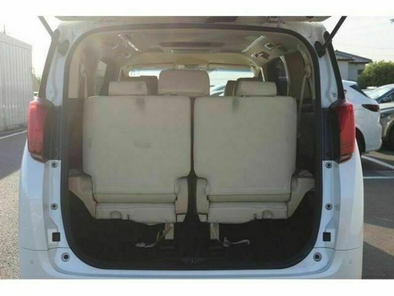 ALPHARD-17