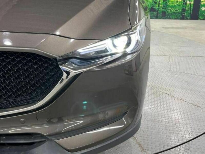 CX-5-11