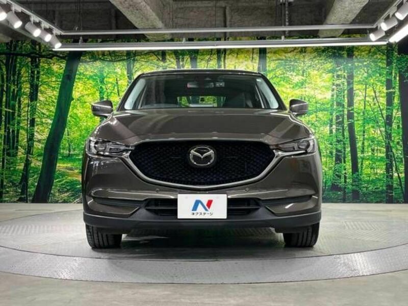 CX-5-13