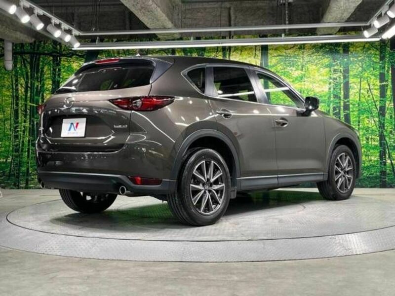 CX-5-16