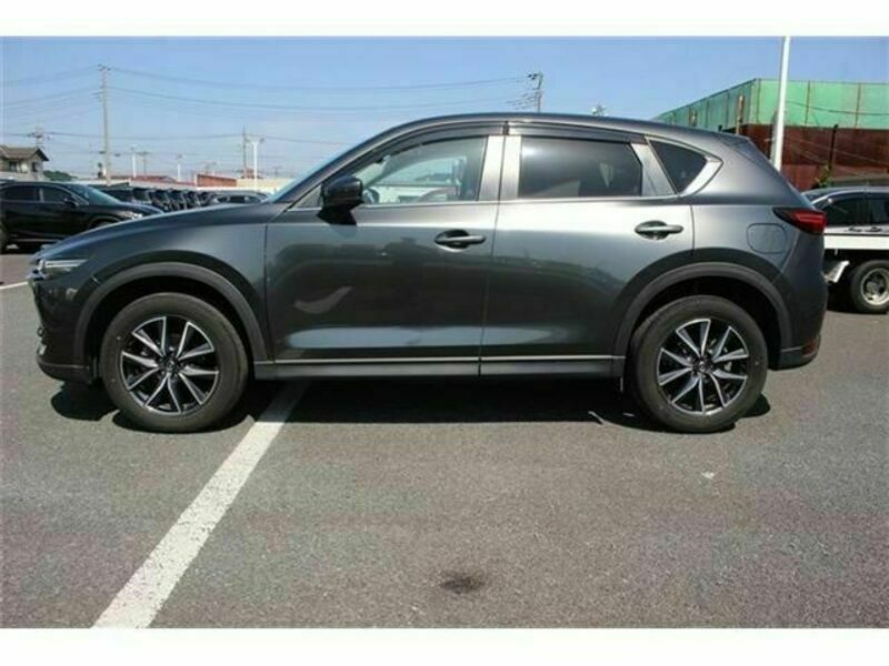 CX-5-8