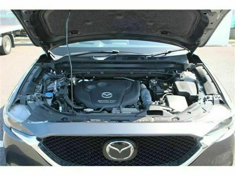 CX-5-18