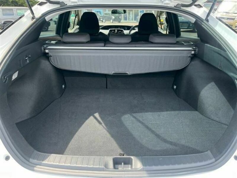 PRIUS-19